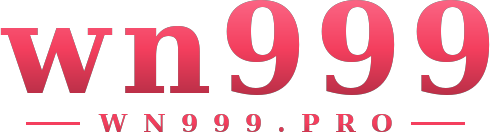 wn999 logo